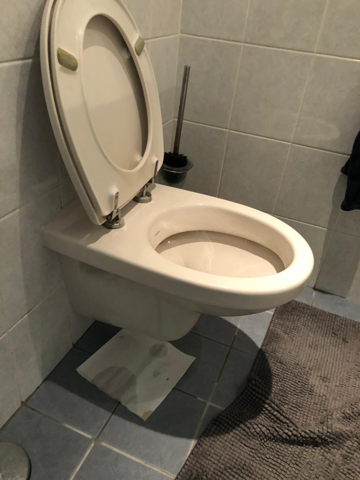 hangtoilet Westland